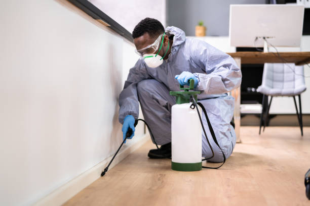 Best Real Estate Pest Inspections  in Leawood, KS